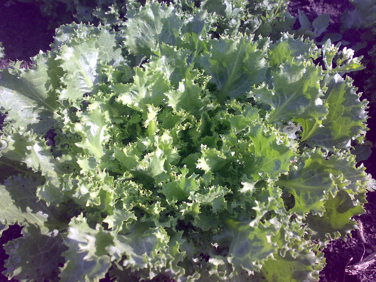 27072009912.jpg