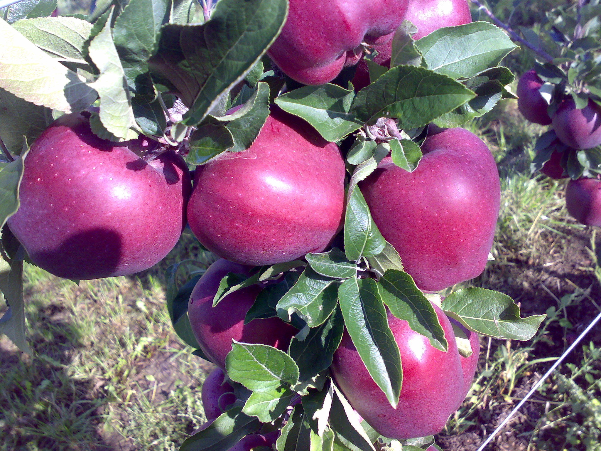 05092009984.jpg